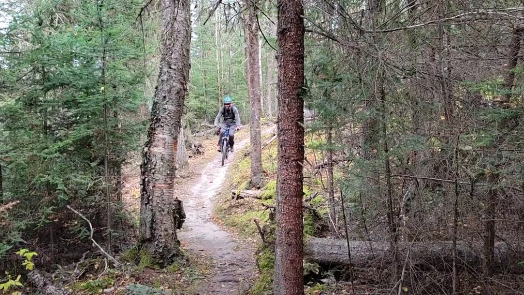 Best mtb discount trails near me